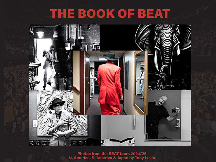 The BOOK of BEAT book cover